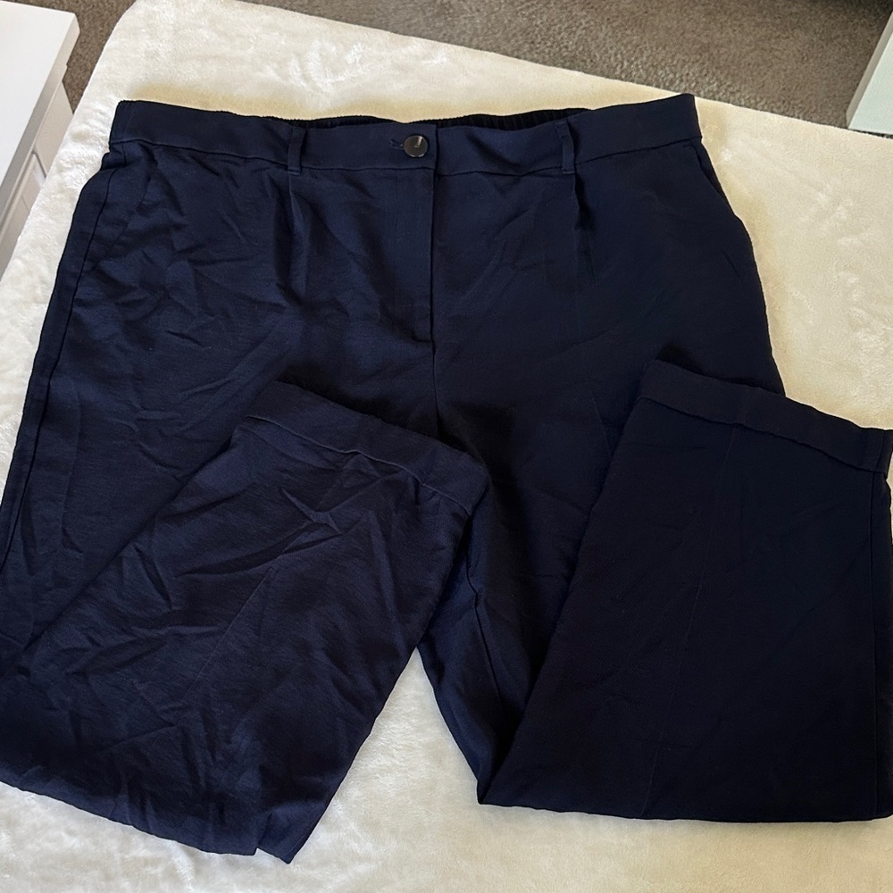 LOFT Linen Navy Pants